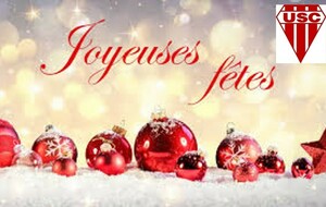 Joyeuses Fêtes et tous nos voeux !!